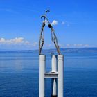 Les sculptures en bois à Evian