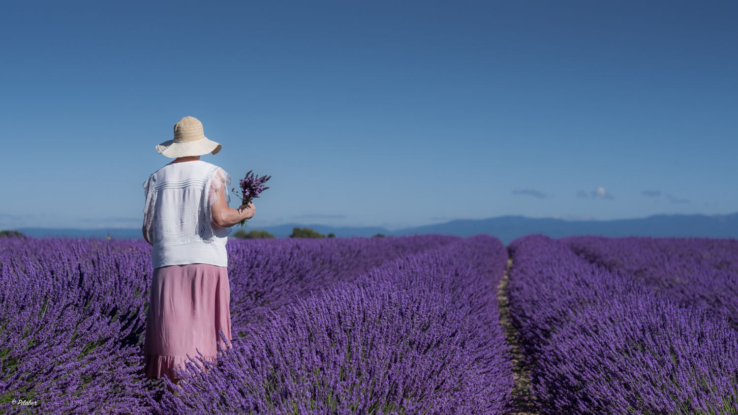 les senteurs de provence