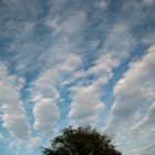 Les sillons des nuages