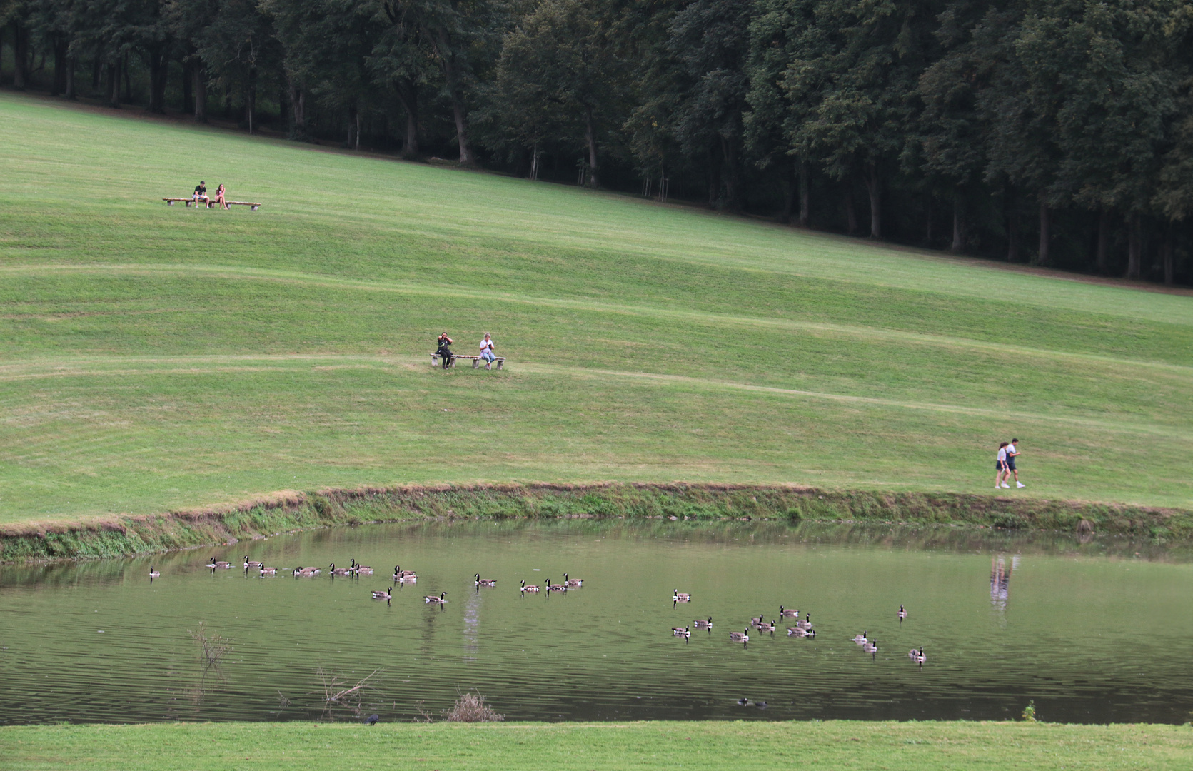  Les six promeneurs 