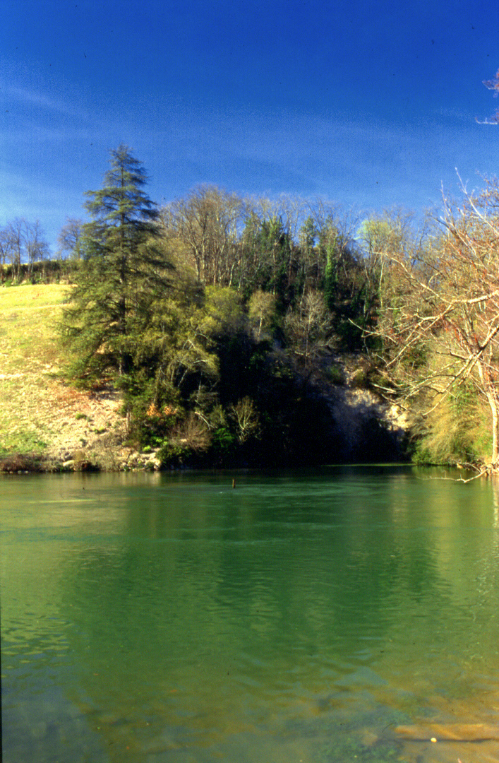 les sources de la Touvre .