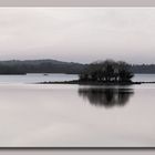 îles sur la Loire