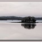 îles sur la Loire