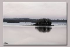 îles sur la Loire