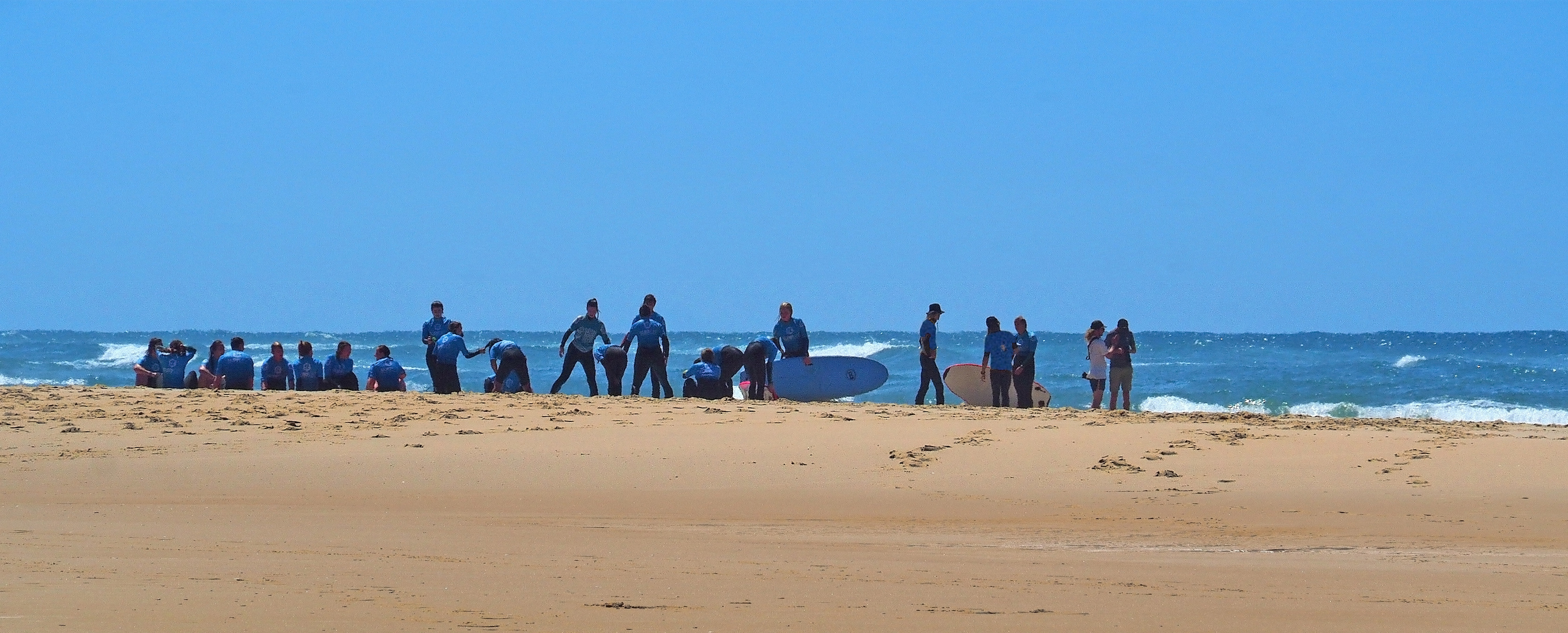 Les surfeurs ..bleus.. !