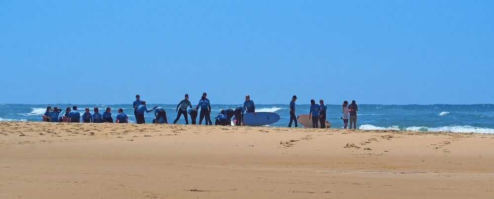 Les surfeurs ..bleus.. !