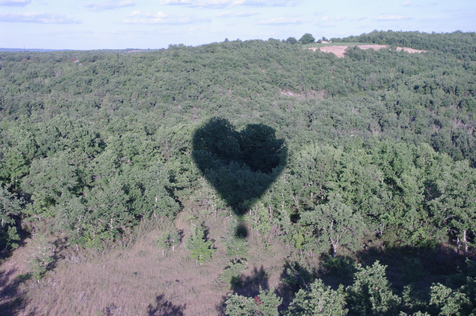 Les surprises de la nature ...