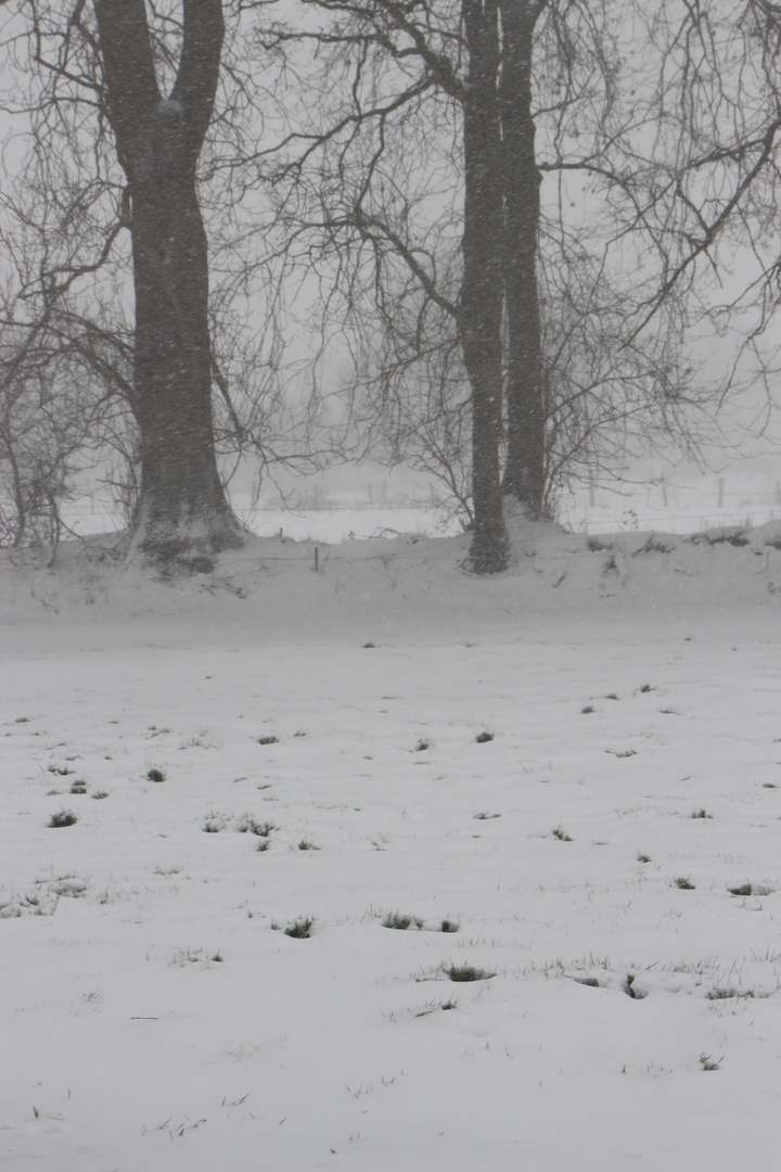 Les talus sous le vent et la neige