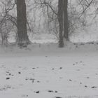 Les talus sous le vent et la neige