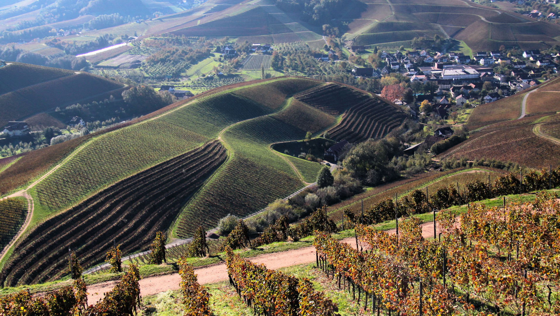 les terrasses du vignoble!!