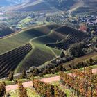 les terrasses du vignoble!!