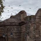 Les Thermes de Constantin - Arles