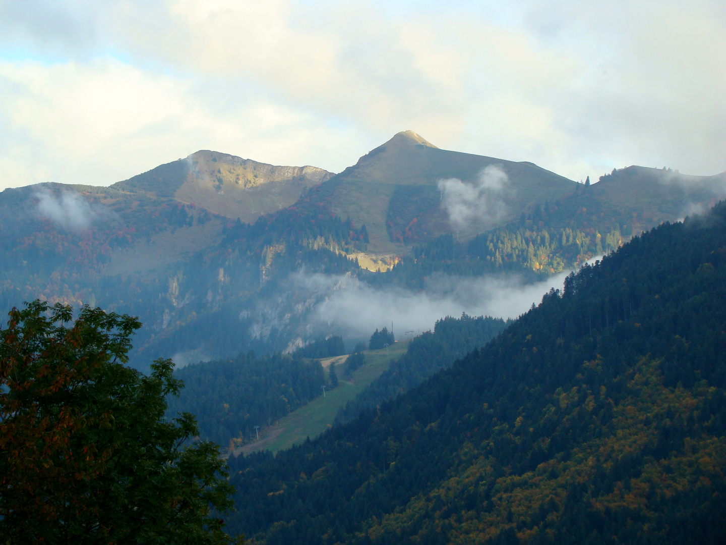 Les toits dans la brume