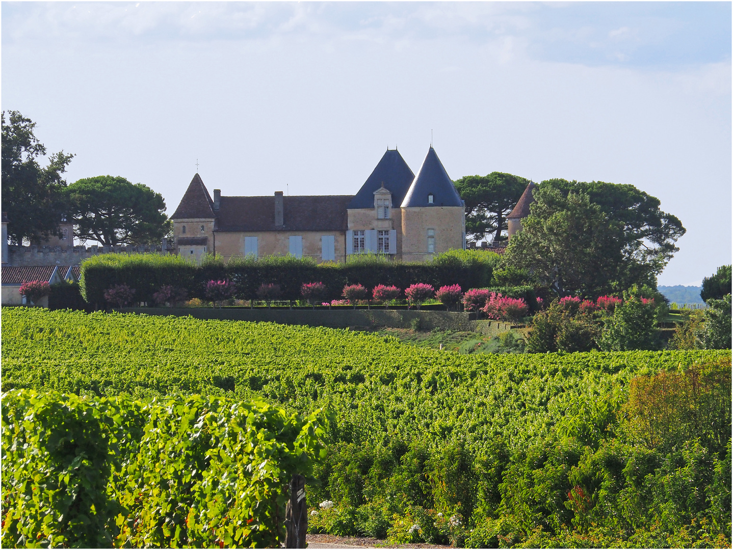 Les toitures et le Château d’Yquem