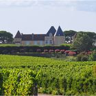 Les toitures et le Château d’Yquem