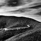 Les tournats de la route de Capo di Feno