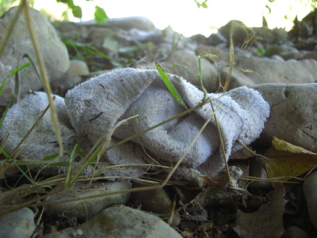 les traces de l'hommes dans la nature