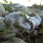 les traces de l'hommes dans la nature