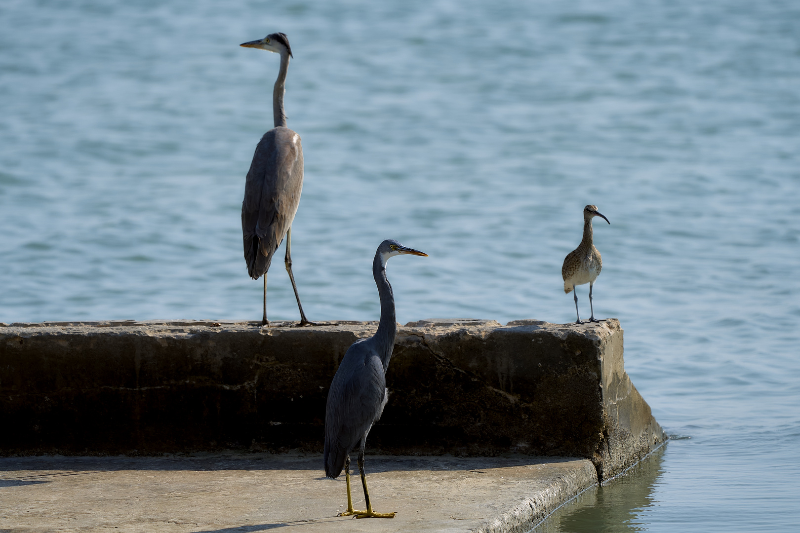 Les Trois