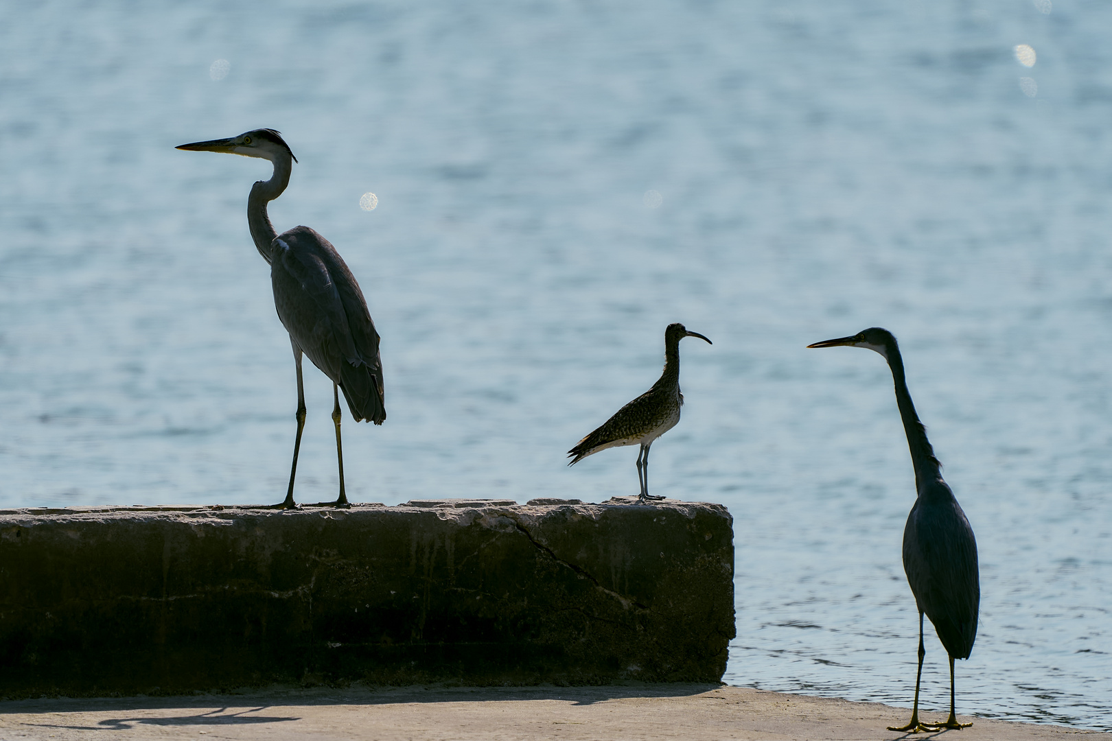 Les Trois