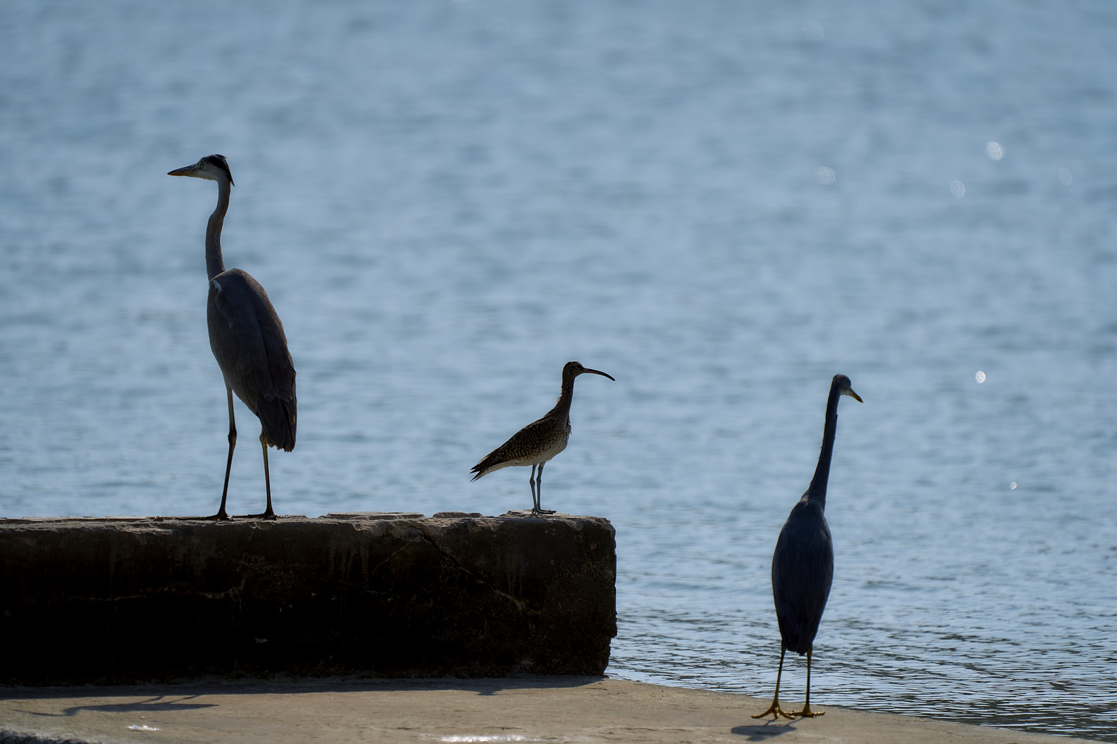 Les Trois