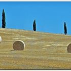 Les trois cyprès......en trois couleurs....(copertina )