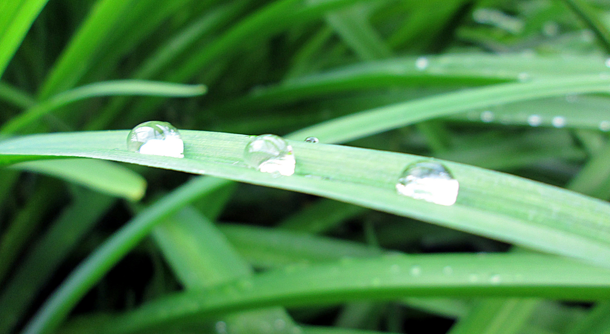 Les trois gouttes d'eau