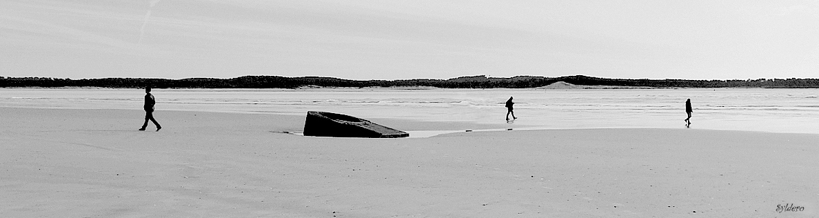 Les trois promeneurs