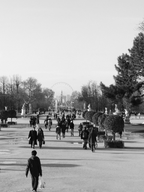 Les Tuileries de Paris