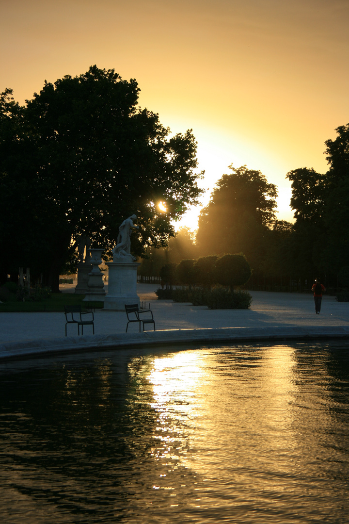 Les tuileries Paris