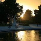 Les tuileries Paris