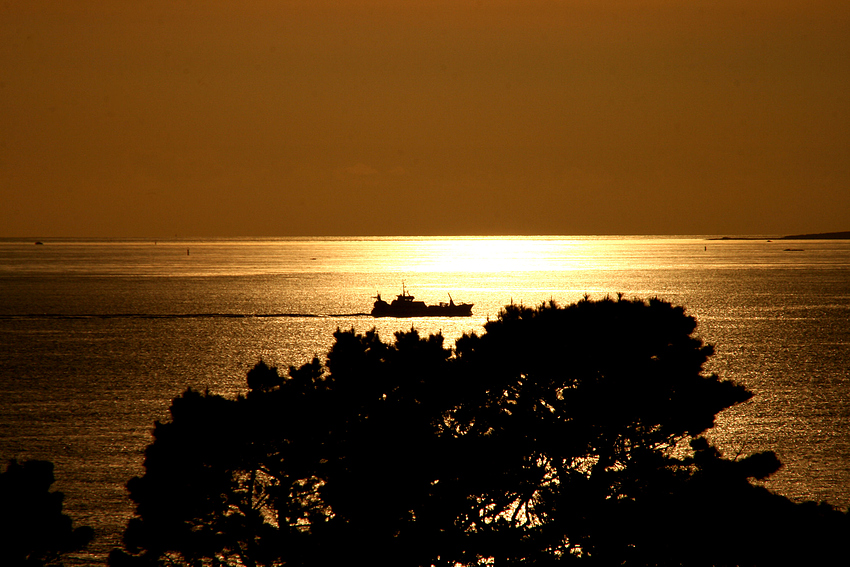 Les vacances au bord de la mer...