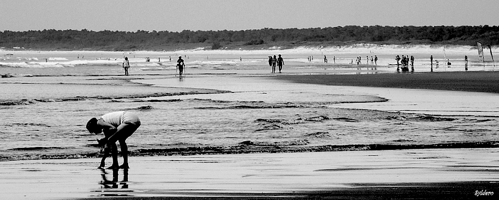 Les vacances au bord de la mer