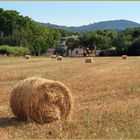 Les vacances chez les grands-mères.....