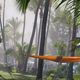 La réunion