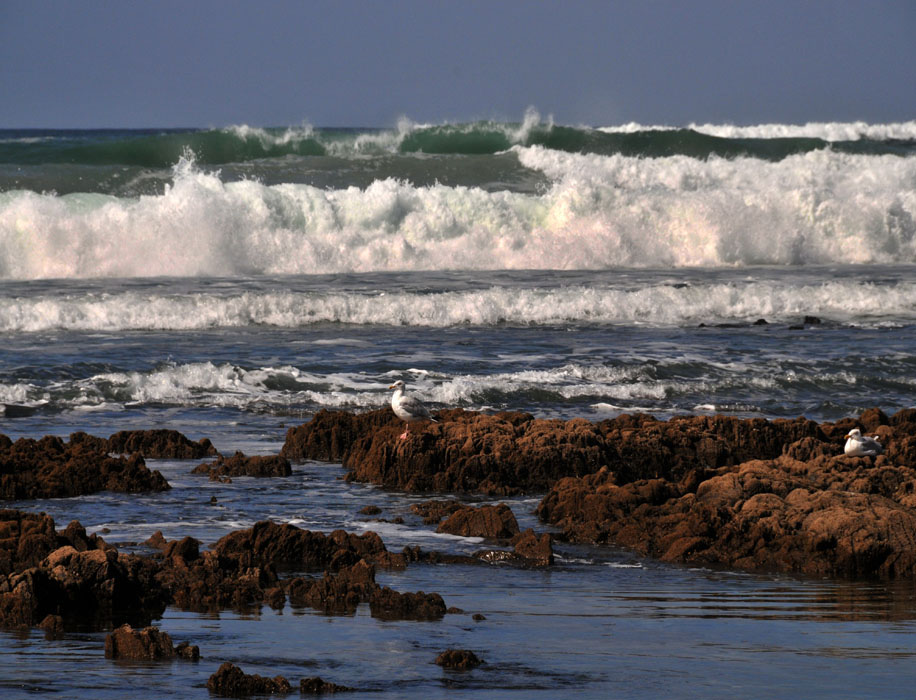 Les vagues