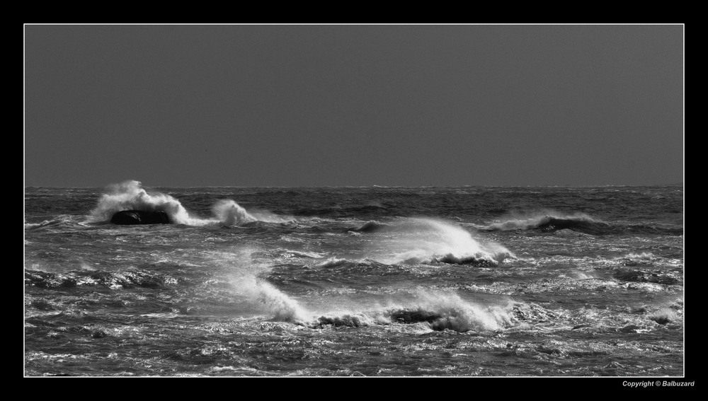 " Les vagues échevelées "