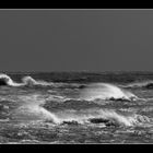 " Les vagues échevelées "