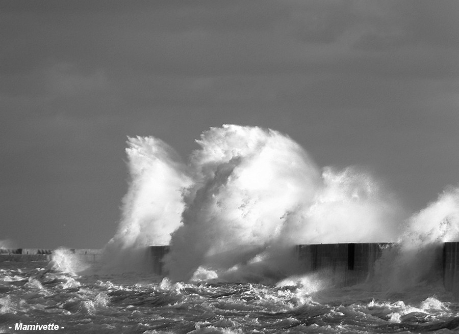 Les vagues en noir et blanc