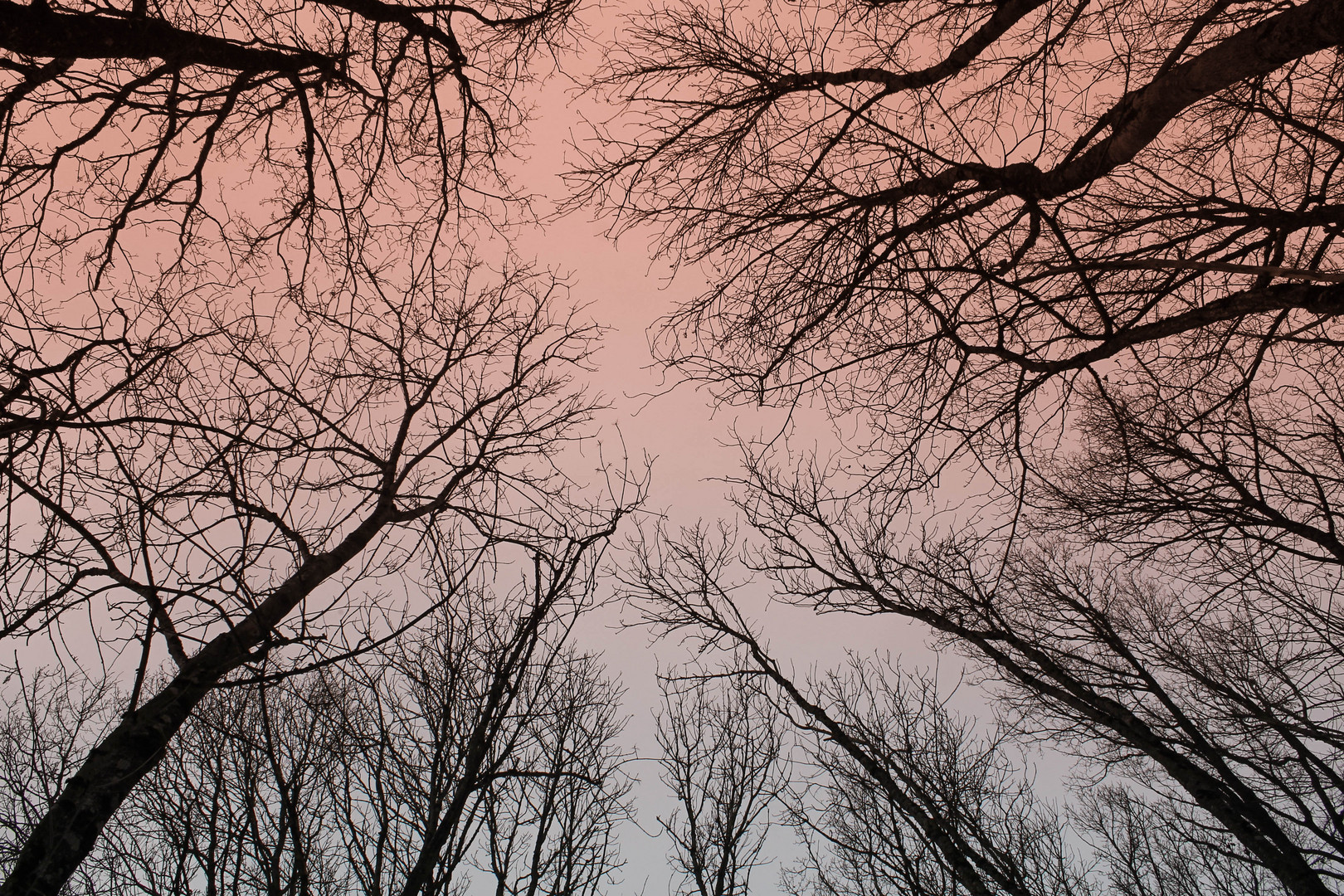 Les veines de la Terre