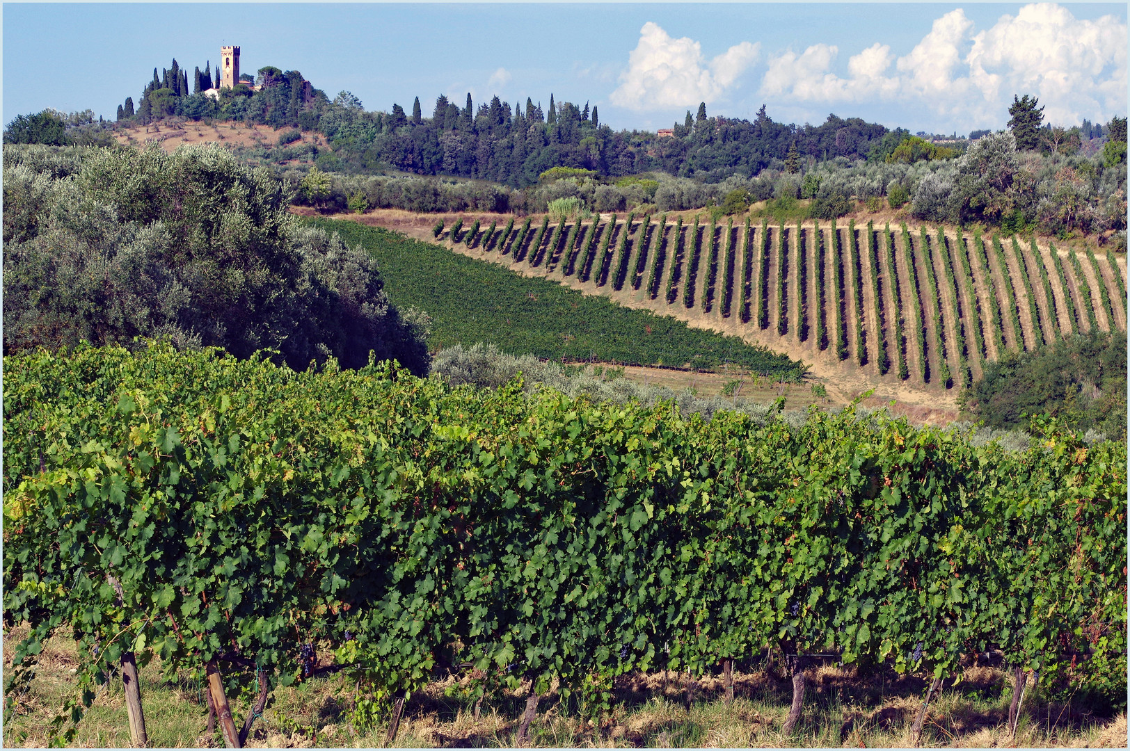 les vendanges vont commencer dans le chianti ....