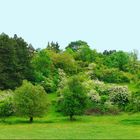  Les verts du printemps