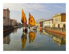 les vieux gréments de Cesenatico