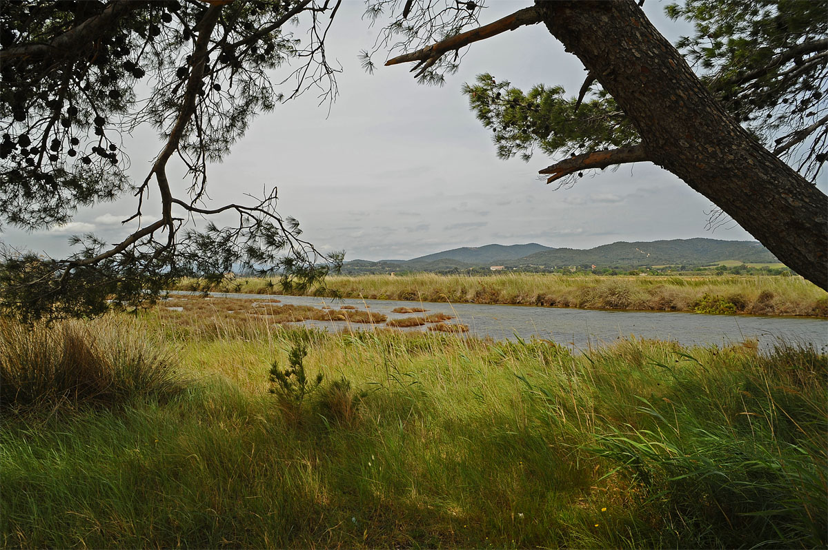 Les Vieux Salins d'Hyères et le Massif des Maures