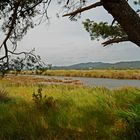 Les Vieux Salins d'Hyères et le Massif des Maures