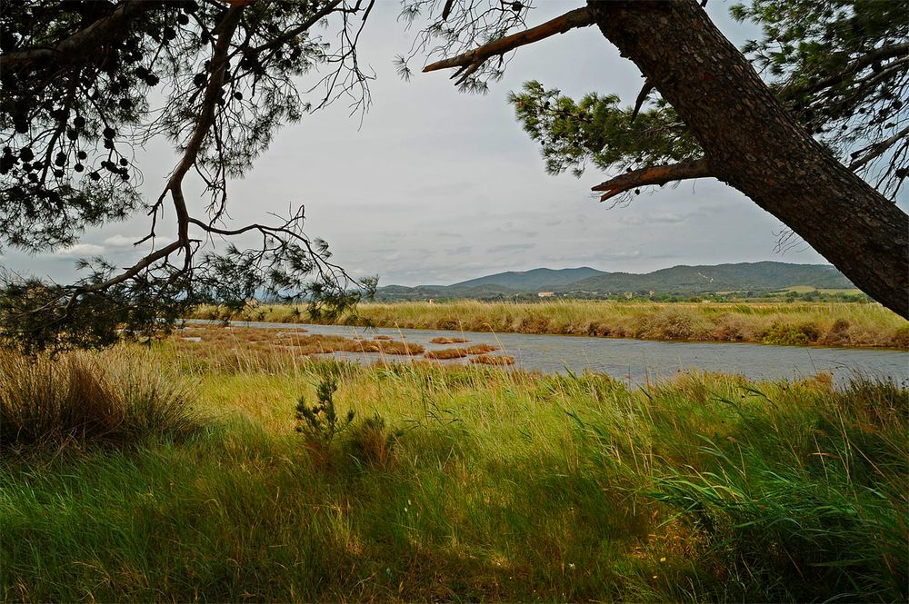 Les Vieux Salins d'Hyères et le Massif des Maures