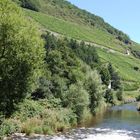 les vignes d'Alsace