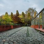 Les vignes de Bercy