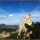 Les vignes de Gigondas