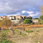 Les vignes du Castellet